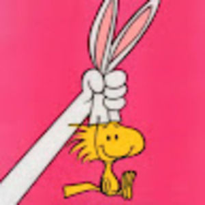 Meet your Posher, Ziqi